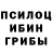 Псилоцибиновые грибы Magic Shrooms Kossitsine