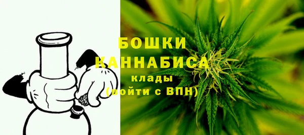 гидра Вяземский