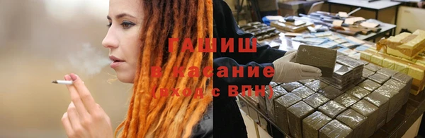 гидра Вяземский