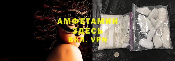 гидра Вяземский