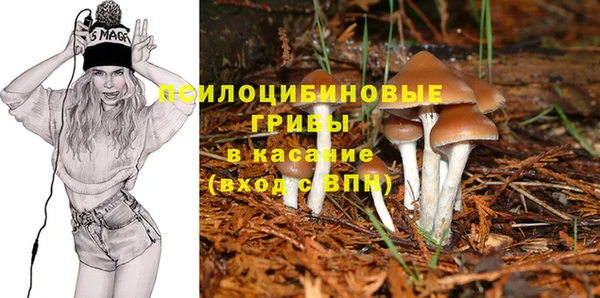 гашик Вязьма