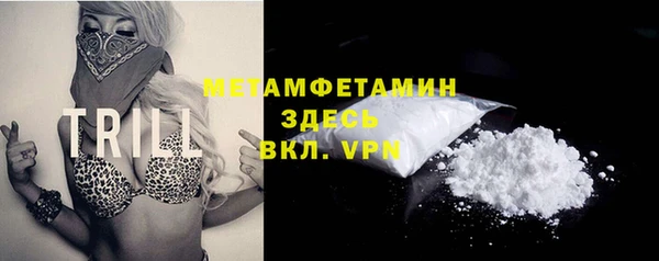 гидра Вяземский