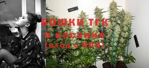 гашик Вязьма