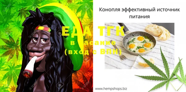 гидра Вяземский