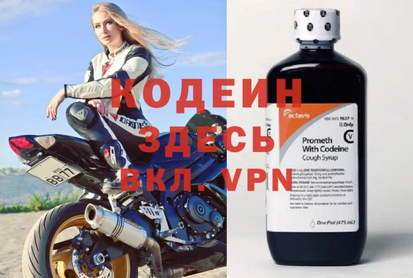 гидра Вяземский
