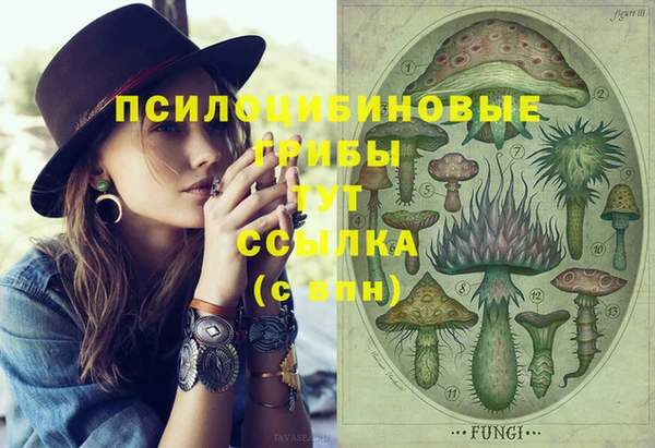 гашик Вязьма