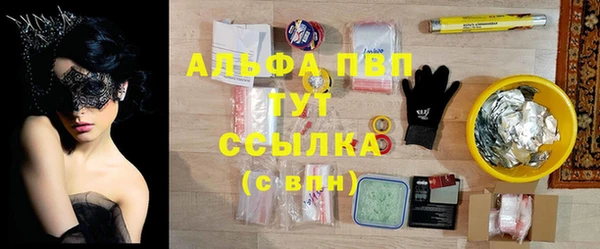 гашик Вязьма