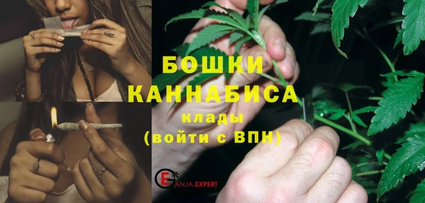 гашик Вязьма