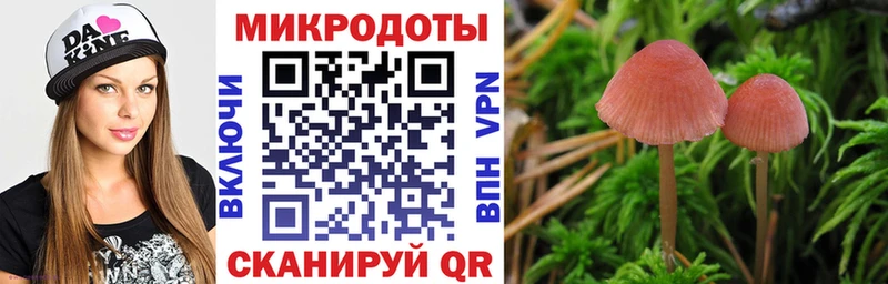 Галлюциногенные грибы MAGIC MUSHROOMS  Купить закладки  Оха 